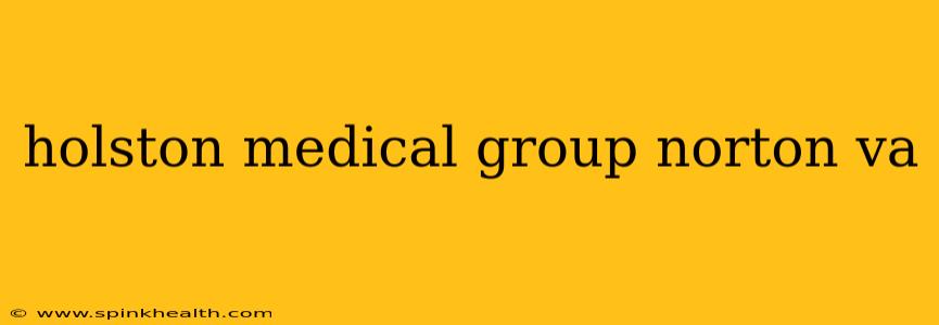 holston medical group norton va