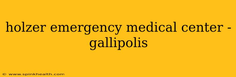 holzer emergency medical center - gallipolis