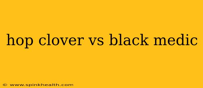 hop clover vs black medic