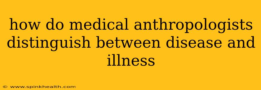 how do medical anthropologists distinguish between disease and illness