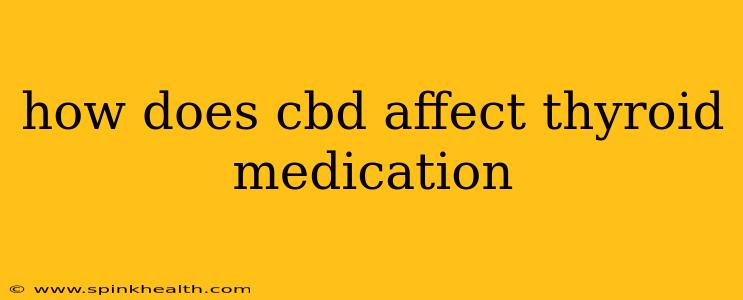how does cbd affect thyroid medication