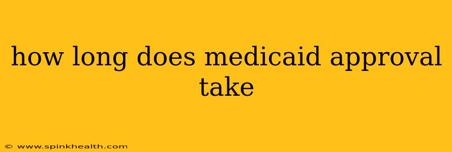 how long does medicaid approval take
