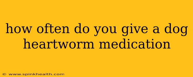 how often do you give a dog heartworm medication