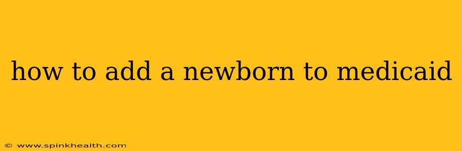 how to add a newborn to medicaid
