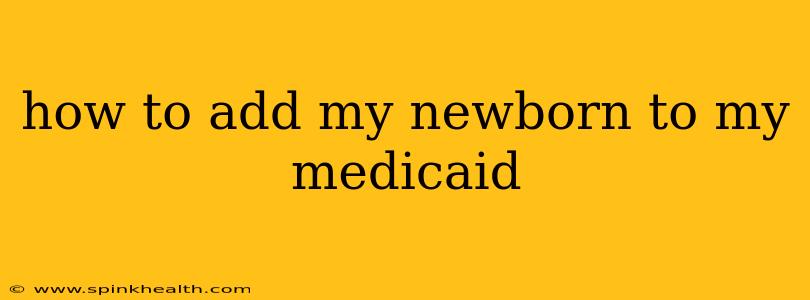 how to add my newborn to my medicaid