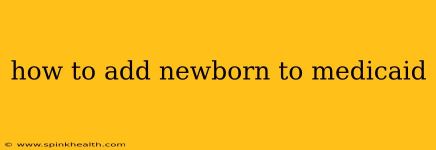 how to add newborn to medicaid