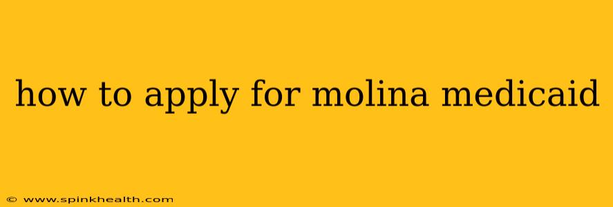 how to apply for molina medicaid