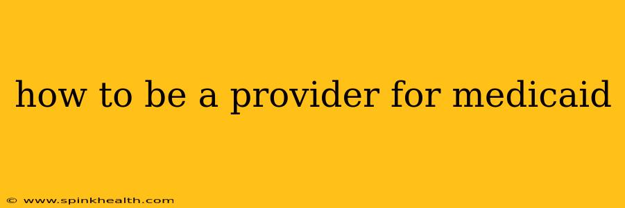 how to be a provider for medicaid