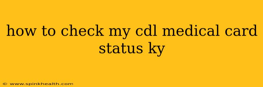how to check my cdl medical card status ky