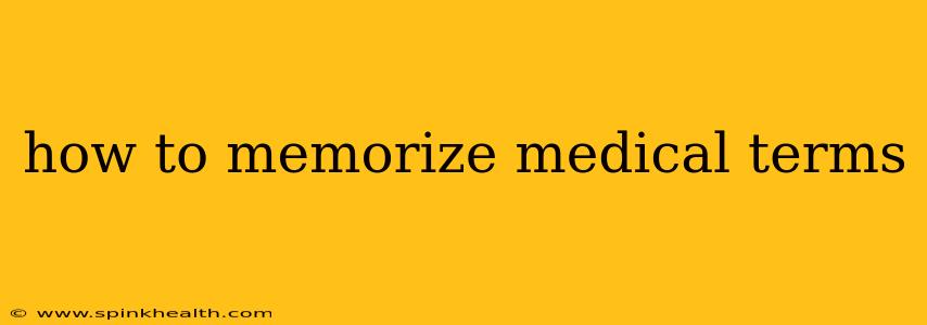 how to memorize medical terms