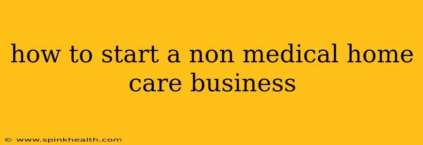how to start a non medical home care business