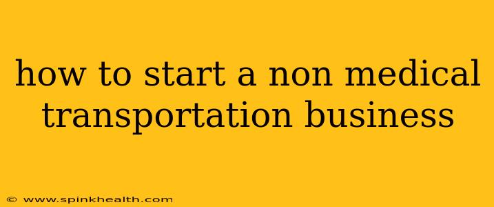 how to start a non medical transportation business
