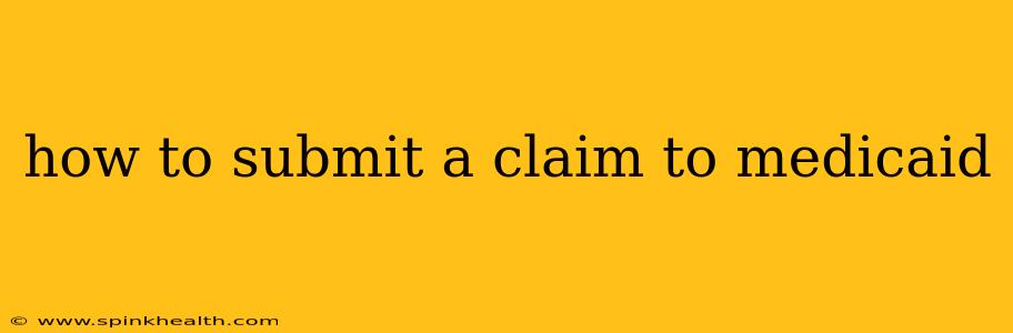 how to submit a claim to medicaid