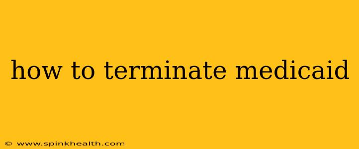 how to terminate medicaid