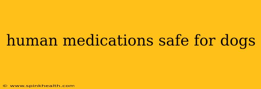 human medications safe for dogs