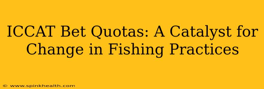 ICCAT Bet Quotas: A Catalyst for Change in Fishing Practices