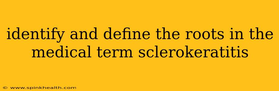 identify and define the roots in the medical term sclerokeratitis