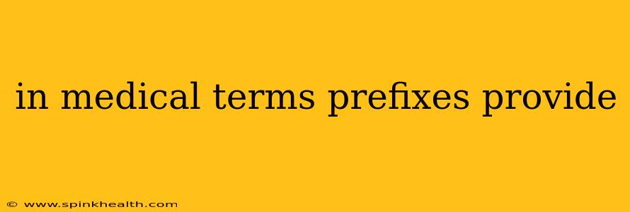 in medical terms prefixes provide