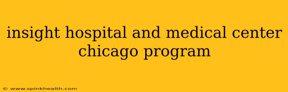 insight hospital and medical center chicago program