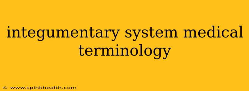 integumentary system medical terminology