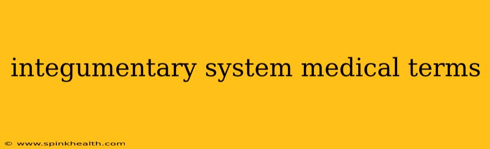integumentary system medical terms