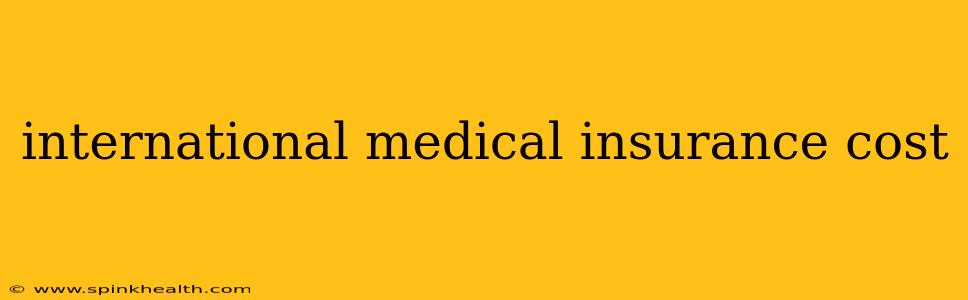 international medical insurance cost