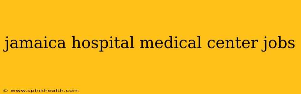 jamaica hospital medical center jobs