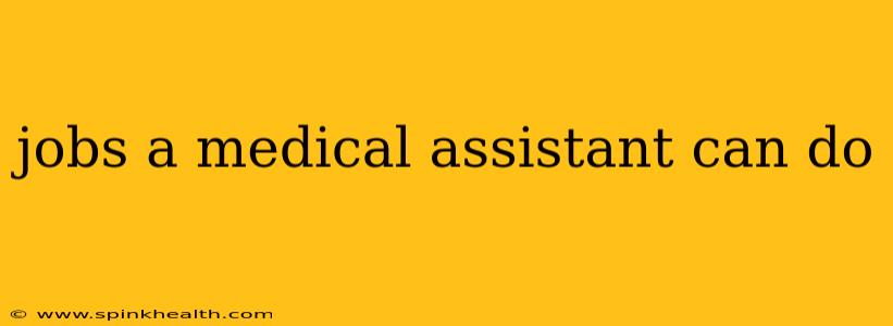 jobs a medical assistant can do