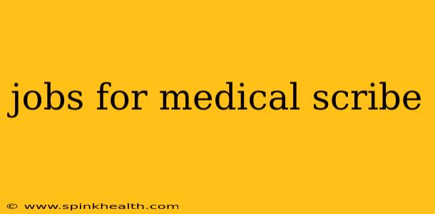 jobs for medical scribe