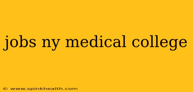 jobs ny medical college