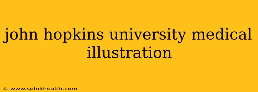 john hopkins university medical illustration