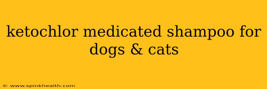 ketochlor medicated shampoo for dogs & cats