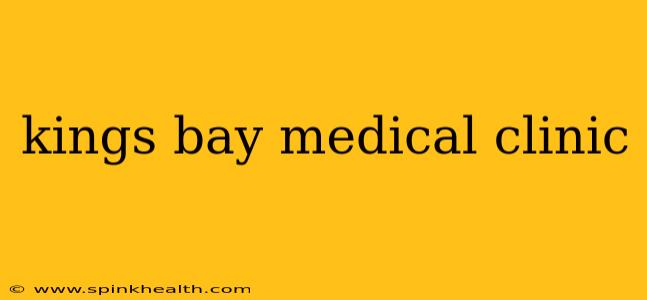 kings bay medical clinic