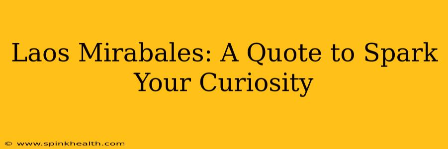 Laos Mirabales: A Quote to Spark Your Curiosity