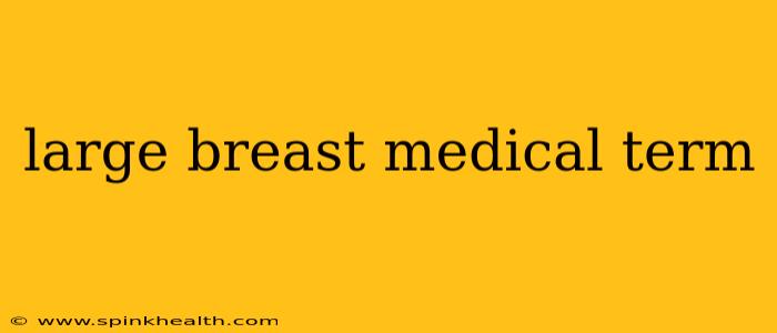 large breast medical term