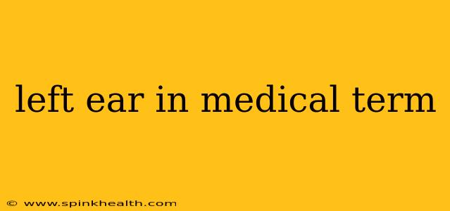 left ear in medical term