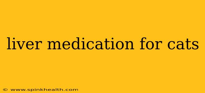 liver medication for cats