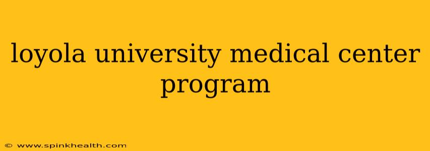 loyola university medical center program
