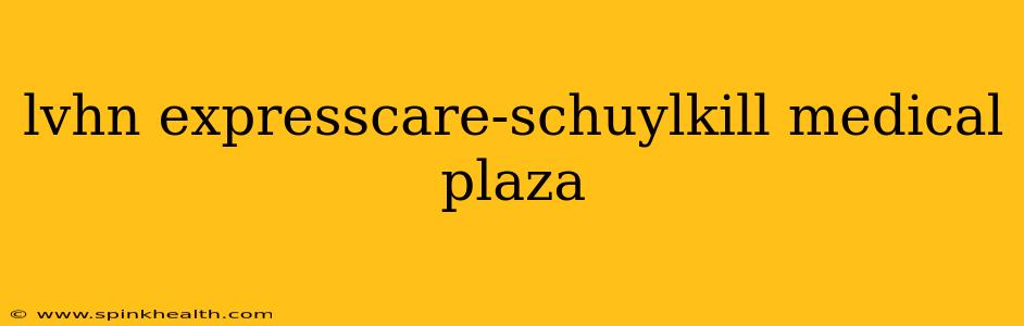 lvhn expresscare-schuylkill medical plaza