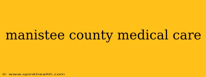 manistee county medical care