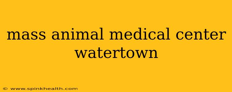 mass animal medical center watertown