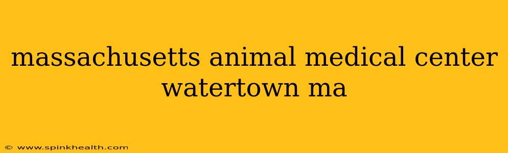 massachusetts animal medical center watertown ma