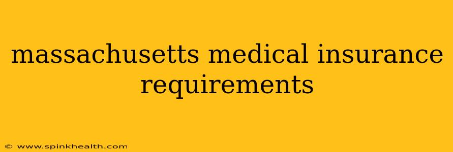 massachusetts medical insurance requirements
