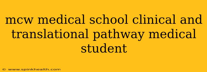 mcw medical school clinical and translational pathway medical student