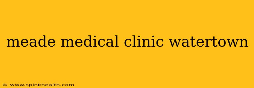meade medical clinic watertown