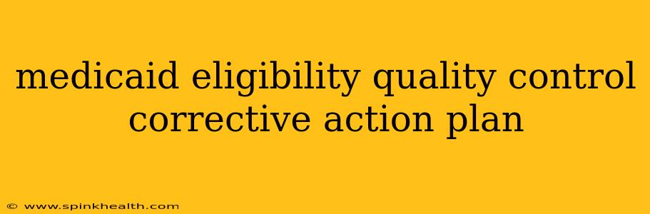 medicaid eligibility quality control corrective action plan