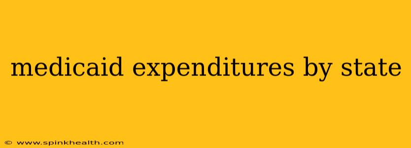 medicaid expenditures by state
