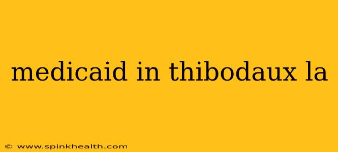 medicaid in thibodaux la