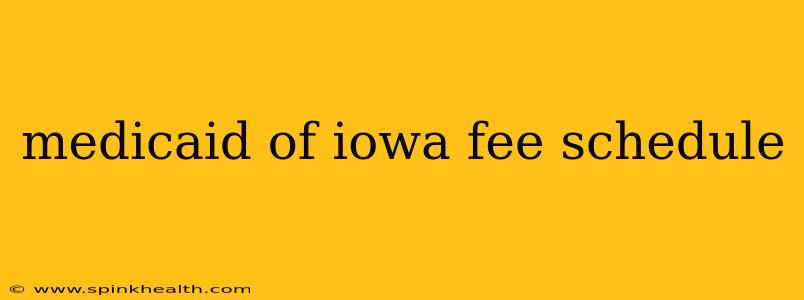 medicaid of iowa fee schedule