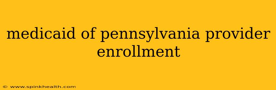 medicaid of pennsylvania provider enrollment